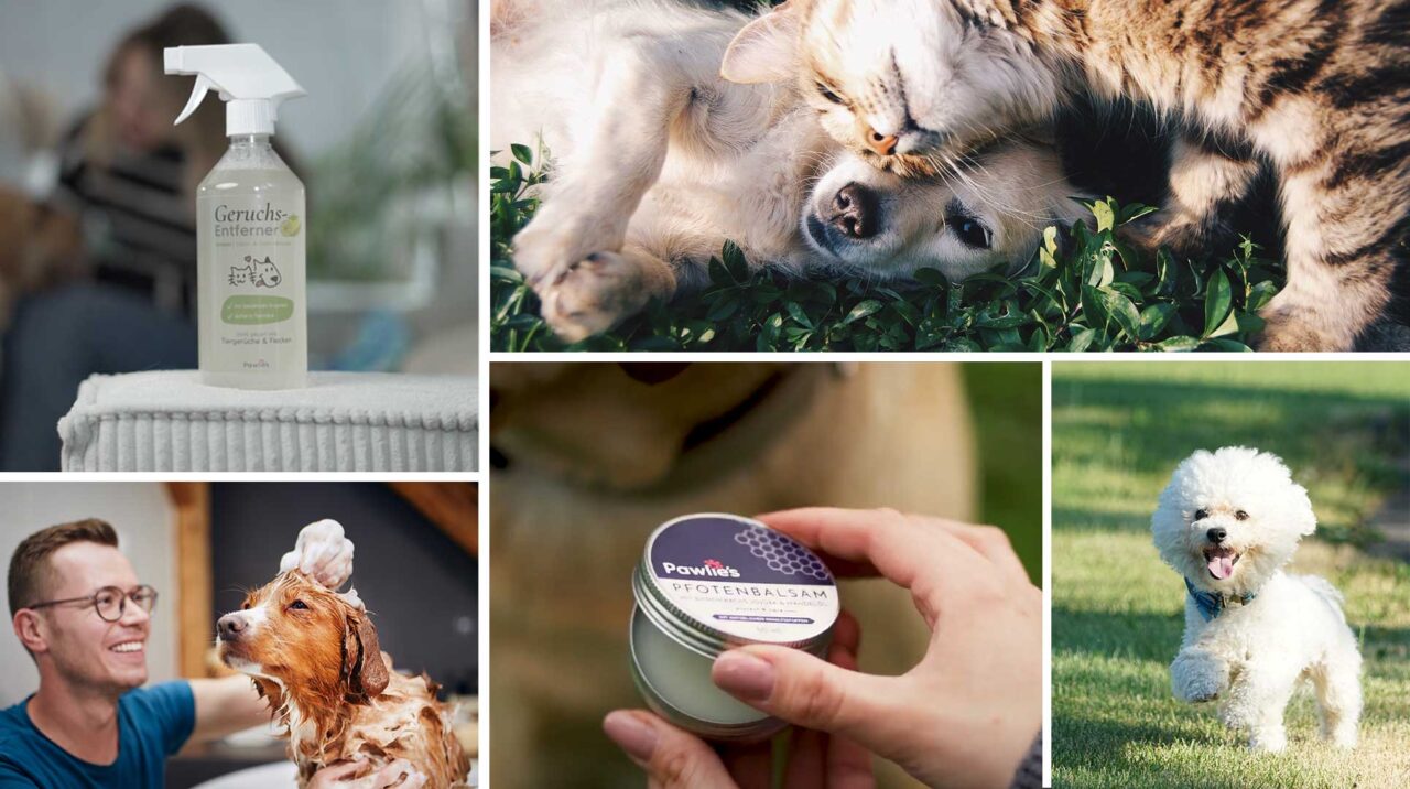 Pawlie's - Über uns