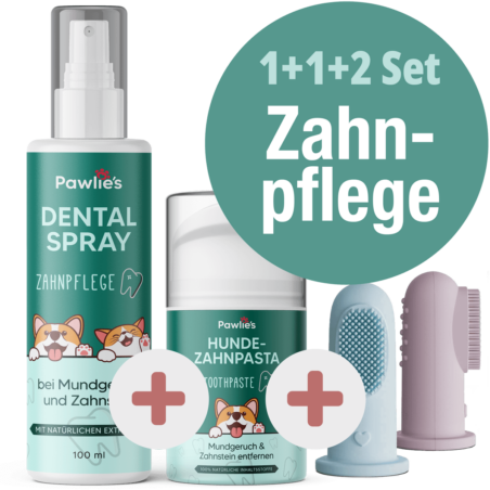 Zahnplfege Set für Hunde
