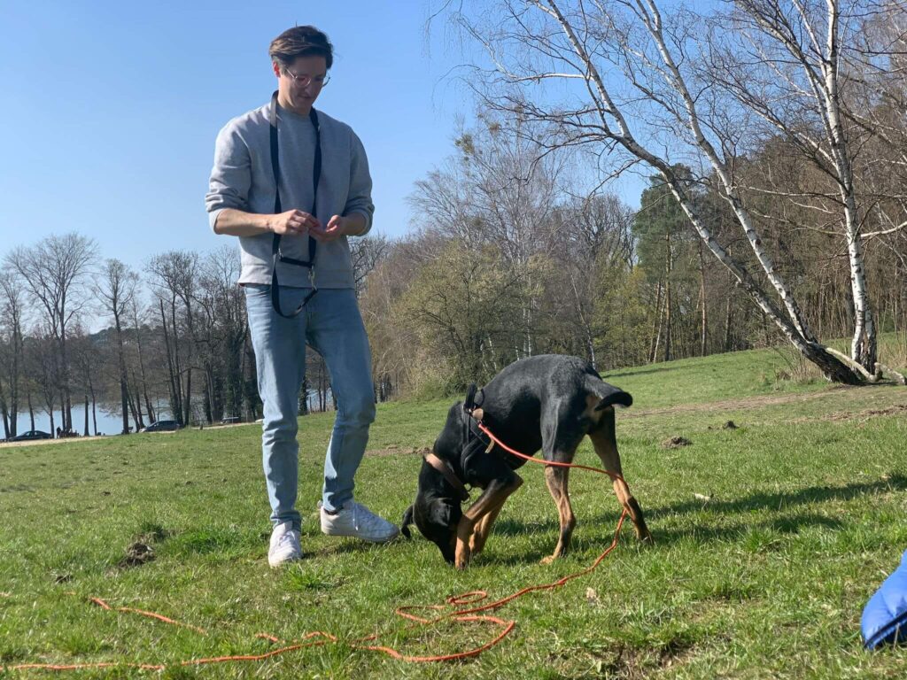Hundetraining und Routinen helfen Urinunfälle im Haus zu vermeiden