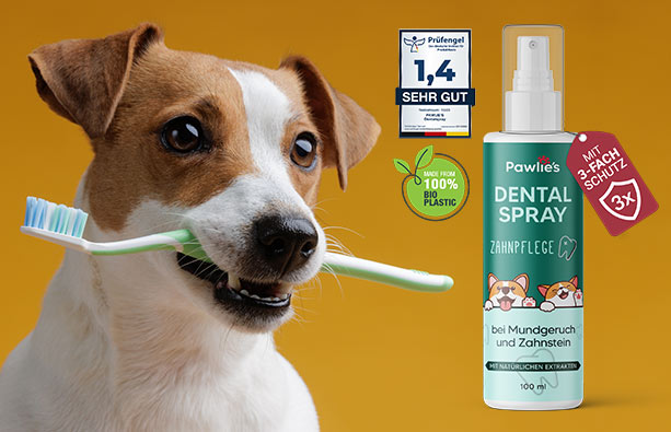 Dentalspray Hund