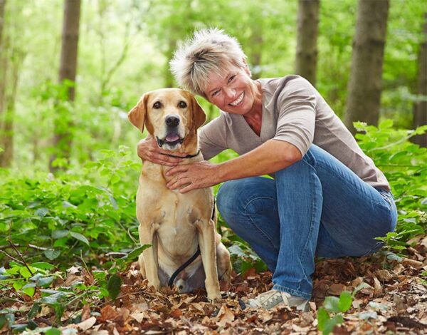häufige Fragen zu Hunde-Gelenktabletten